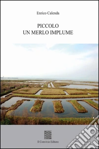 Piccolo un merlo implume libro