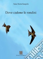 Dove cadono le rondini libro