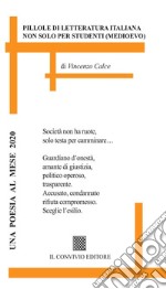 Pillole di letteratura libro