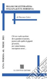 Pillole di letteratura italiana libro