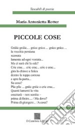 Piccole cose libro