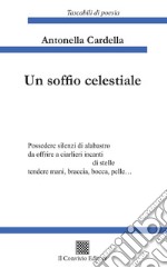 Un soffio celestiale libro