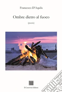 Ombre dietro al fuoco libro