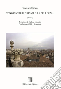 Nonostante il grigiore, la bellezza... libro