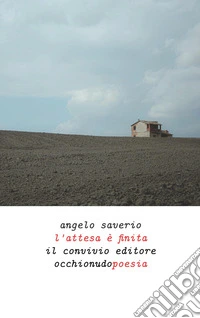 L'attesa è finita libro