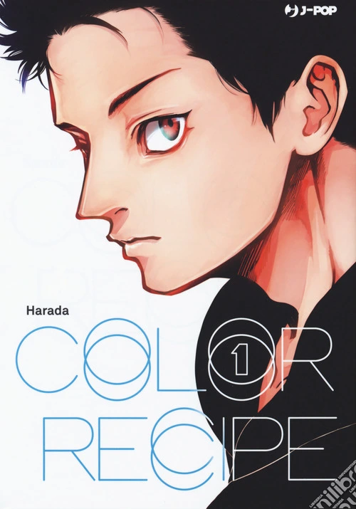 Color recipe. Vol. 1