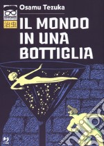 Il mondo in una bottiglia libro