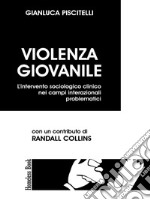 Violenza giovanile. L'intervento sociologico clinico nei campi interazionali problematici libro