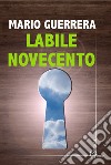 Labile novecento libro