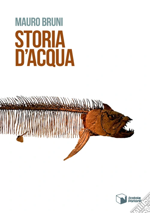 Storia d'acqua