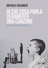 Di che cosa parla veramente una canzone libro