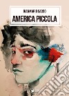 America piccola libro