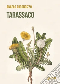 Tarassaco