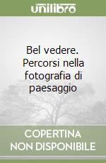 Bel vedere. Percorsi nella fotografia di paesaggio libro