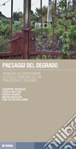 Paesaggi del degrado. Indagini ed esperienze in Friuli Venezia Giulia tra rischi e degradi libro