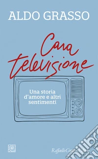 Cara televisione. Una storia d'amore e altri sentimenti libro