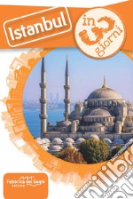 Istanbul in 3 giorni libro