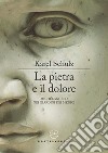 La pietra e il dolore. Michelangelo nei giardini dei Medici libro