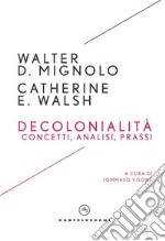 Decolonialità. Concetti, analisi, prassi libro