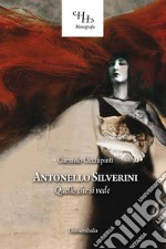 Antonello Silverini. Quello che si vede libro