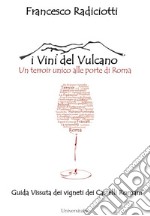 I vini del vulcano. Un terroir unico alle porte di Roma. Guida vissuta dei vigneti dei Castelli romani libro