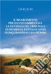 Il risarcimento per danno ambientale: la sentenza del tribunale di Mombasa (Kenya) in tema di inquinamento da piombo libro