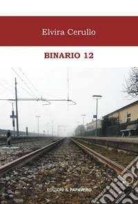 Binario 12 libro