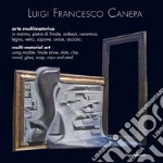 Luigi Francesco Canepa. Arte multi-materica-Multi-material art. Ediz. bilingue. Con Video