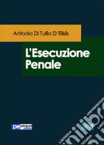 L'esecuzione penale