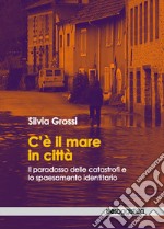 C'è il mare in città. Il paradosso delle catastrofi e lo spaesamento identitario libro