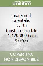 Sicilia sud orientale. Carta turistico-stradale 1:120.000 (cm 97x67) libro