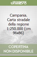 Campania. Carta stradale della regione 1:250.000 (cm 96x86) libro