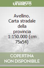 Avellino. Carta stradale della provincia 1:150.000 (cm 75x54) libro