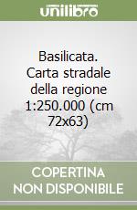 Basilicata. Carta stradale della regione 1:250.000 (cm 72x63) libro