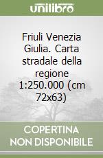 Friuli Venezia Giulia. Carta stradale della regione 1:250.000 (cm 72x63) libro