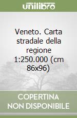 Veneto. Carta stradale della regione 1:250.000 (cm 86x96) libro