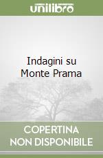 Indagini su Monte Prama libro