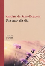 Un senso alla vita libro