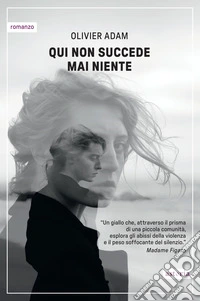 Qui non succede mai niente libro