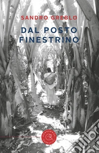Dal posto finestrino