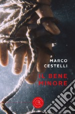 Il bene minore libro