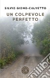 Un colpevole perfetto libro