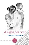 A luglio per caso libro