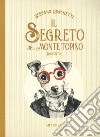 Il segreto del monte topino libro di Ronchetti Stefano