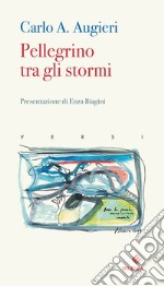 Pellegrino tra gli stormi libro