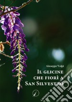 Il glicine che fiorì a San Silvestro