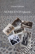 Novecento piccolo