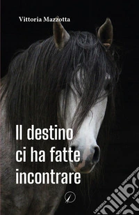 Il destino ci ha fatte incontrare libro
