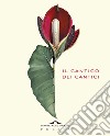 Il cantico dei cantici. Testo ebraico a fronte libro