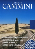 Cammini. Percorrendo l'Italia: Lavia Francigena da Lucca a Roma-Cammino materano-Cammino balteo. Con 3 Carta geografica ripiegata libro